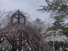 -青岛中山公园-索道售票处