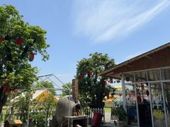 -长洲岛都市农业公园