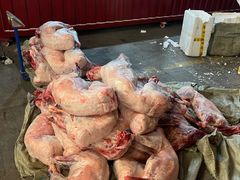 -清真·双公羊·馕坑烤全羊(奥体店)