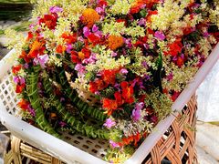 -丽江泸沽湖景区