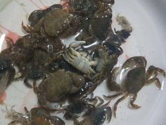 -玫瑰海岸文化旅游度假区