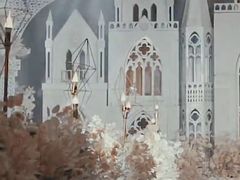 -广交会威斯汀酒店