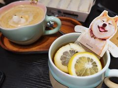 -逗柴咖啡屋·狗咖猫咖宠物桌游