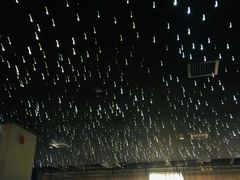 -STARRY CAFE & LOUNGE BAR(高新店)