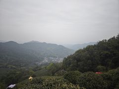 -龙井村
