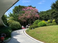 -云溪植物园