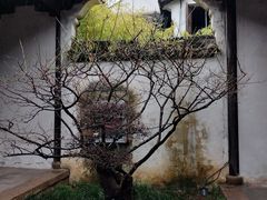 -惠山古镇·寄畅园