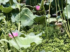 -苏州吴中太湖旅游区