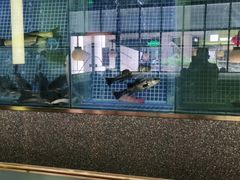 -顺峰顺水顺德菜(龙华店)