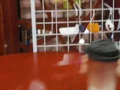 -老雒阳面馆·水席·洛阳菜(偃师店)