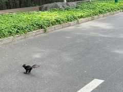 -黑龙江省森林植物园