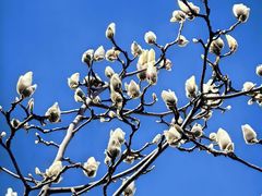 -龙湖星悦荟(颐和店)