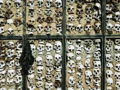 -比如骷髅墙景区