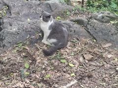 -宝通禅寺