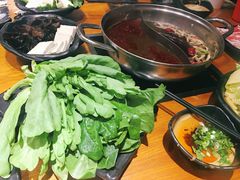 -呷哺呷哺 黄金牧场 (回龙观港龙店)