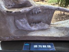 -中国第四纪冰川遗迹陈列馆