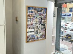 -青奢宠物·青奢猫舍