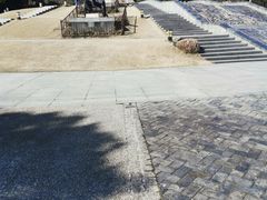 -上海吴淞炮台湾国家湿地公园