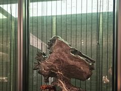 -沈灶河豚宴·河豚融合餐厅(汉中路店)
