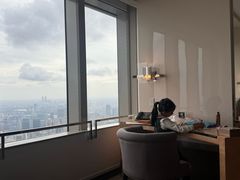 -上海柏悦酒店