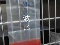 -拜鲁耶动物诊疗中心·宠家动物医院