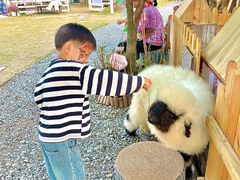 -HERRE·FARM 赫尔露营农场·团建聚会包场