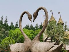 -东平国家森林公园