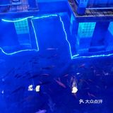 胜记沙河民商店