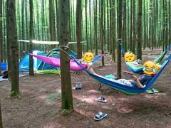 -山王坪喀斯特国家生态公园