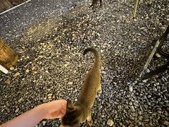 -DGE季风钓虾营地·团建·聚会