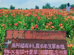 -汉长安城未央宫国家考古遗址公园