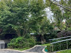 -大连金石滩绿发温泉假日酒店