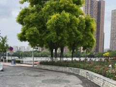 -海河游船-永乐码头(大悲院)