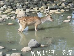 -上海野生动物园