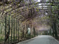 -苏州太湖国家湿地公园