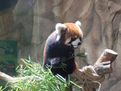 -海合安武汉极地海洋公园