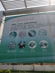 点击看大图 -水八仙生态园