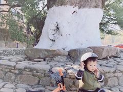 -稚马儿童平衡车自行车俱乐部