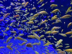 -成都浩海立方海洋公园