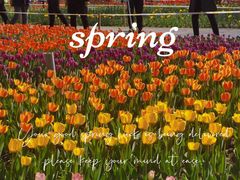 -长春公园(普阳街道)