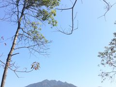 -广州市流溪河国家森林公园