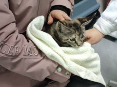 -达爱动物医院·犬猫分区·CT·复杂眼科(远洋山水分院)