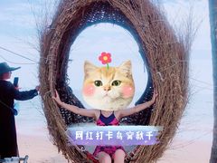 -渔岛海洋度假区