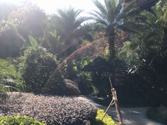 -汇雅温泉