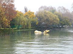 -西湖天地