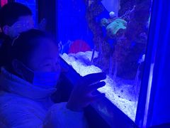 -烟台海昌鲸鲨海洋公园