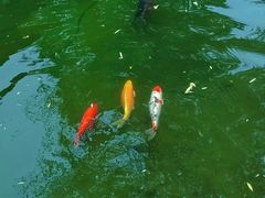 -三里河公园