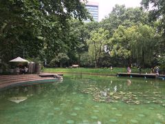 -静安公园(静安寺街道)
