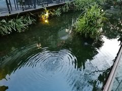 -大妙火锅·非物质文化遗产(东湖公园店)