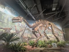 -辽宁古生物博物馆